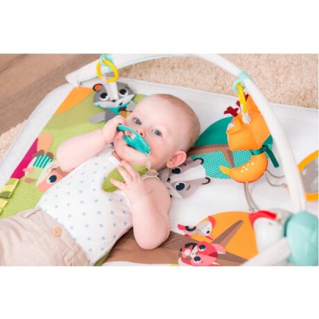 GIMNASIO DELUXE INTO THE FOREST TINY LOVE TO051-0700