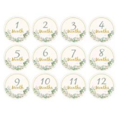 TARJETAS DE CUMPLE MES PARA FOTOGRAFIAS TRJ0012